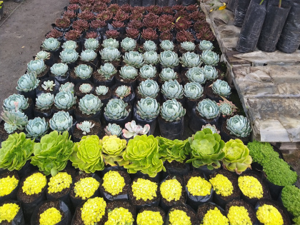 Imagen de reciclaje 1