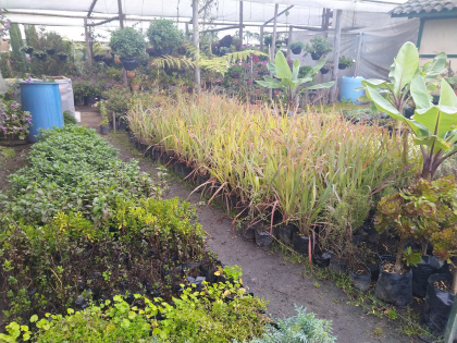 Imagen de reciclaje 3