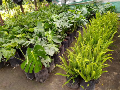 Imagen de reciclaje 5