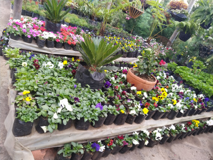 Imagen de reciclaje 9